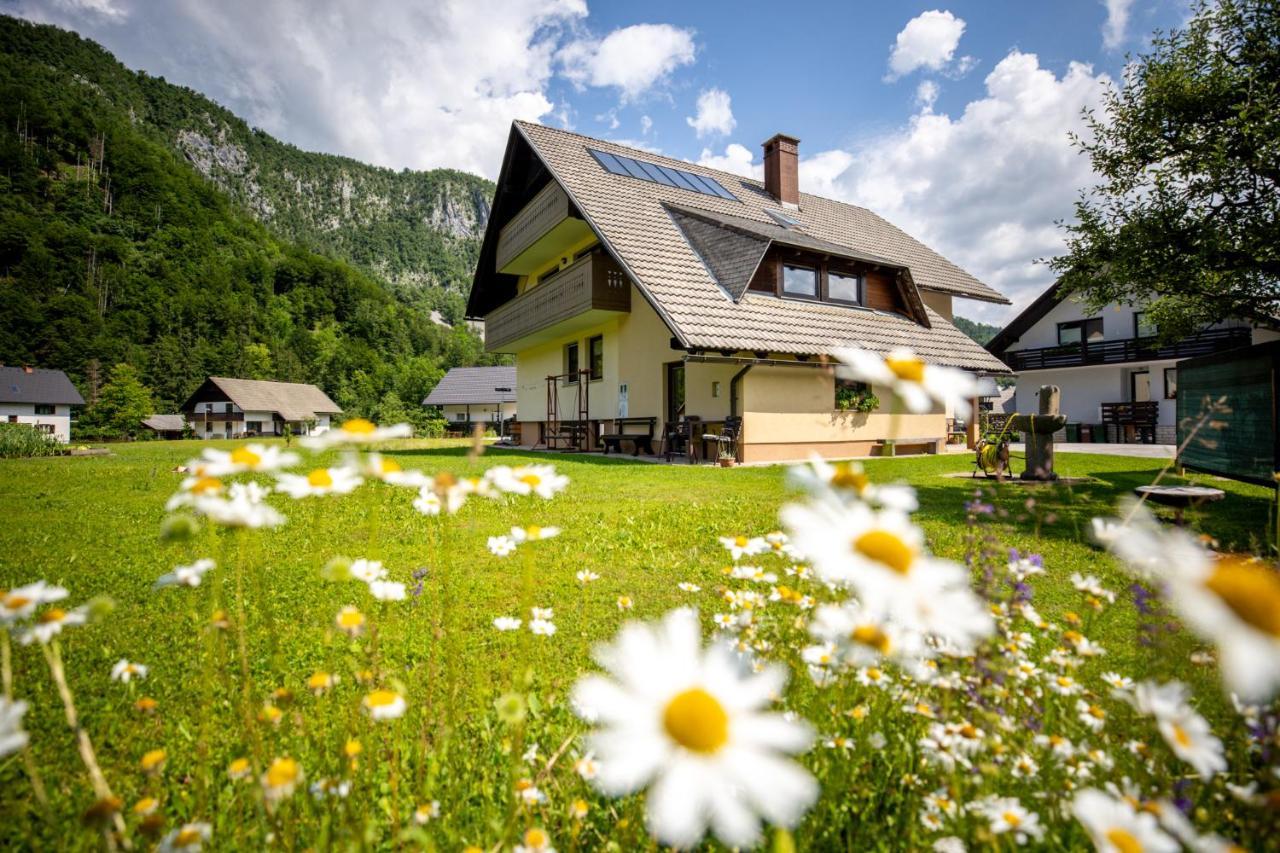 Apartments Darinka Mencinger Bohinj Exteriör bild